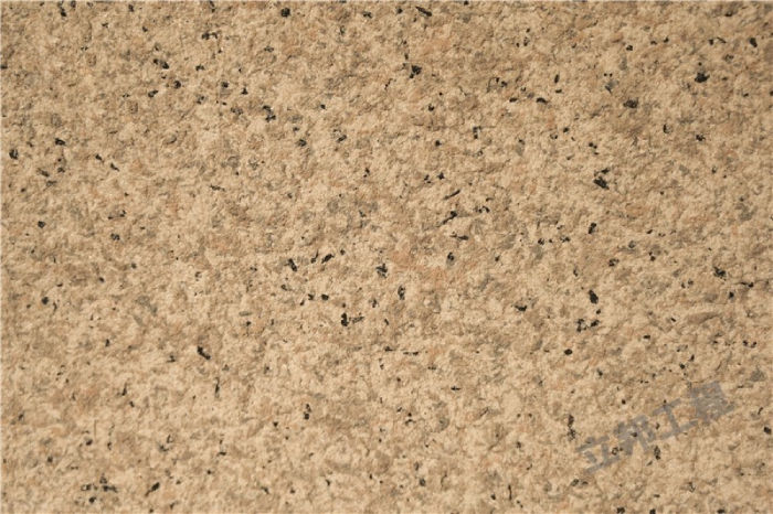 20210305050423_36619 (1).jpg